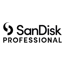 sandisk-removebg-preview